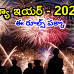 New Year 2025 : కొత్త ఏడాది వేడుకలకు నగరం సిద్దం.. ఈ అనుమతులు తప్పవంటున్న పోలీసులు