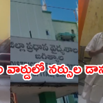 Jagityala Government Hospitalz : అల్లాడుతున్న రోగులు.. ఆట, పాటలతో ప్రభుత్వ నర్సుల డాన్స్ ప్రాక్టీస్.. ఎక్కడంటే