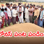 Paddy Yield : రాష్ట్రంలో ఊహించని రీతిలో పెరిగిన సన్న రకం వడ్లు.. ఫలించిన ప్రభుత్వం ‘బోనస్’ హామీ..