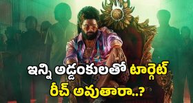 Pushpa 2 Movie : ఇంకా వేడి తగ్గలేదు పుష్పా…