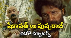 Pushpa Movie Pre Release Event : యాంకర్ సుమ బన్నీ ఫ్యాన్స్ ను ఆ మాట తెలిసి అన్నారా.? తెలియక అన్నారా.?
