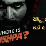 Pushpa 3 Rampage: పుష్ప సినిమాను ఇలా ప్లాన్ చేసుకుంటూ పోతే వెబ్ సిరీస్ అయిపోతుంది గురు