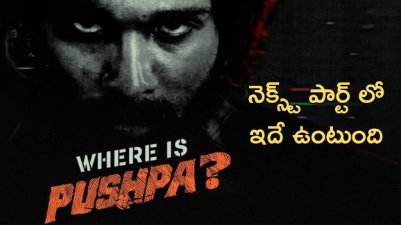 Pushpa 3 Rampage: పుష్ప సినిమాను ఇలా ప్లాన్ చేసుకుంటూ పోతే వెబ్ సిరీస్ అయిపోతుంది గురు