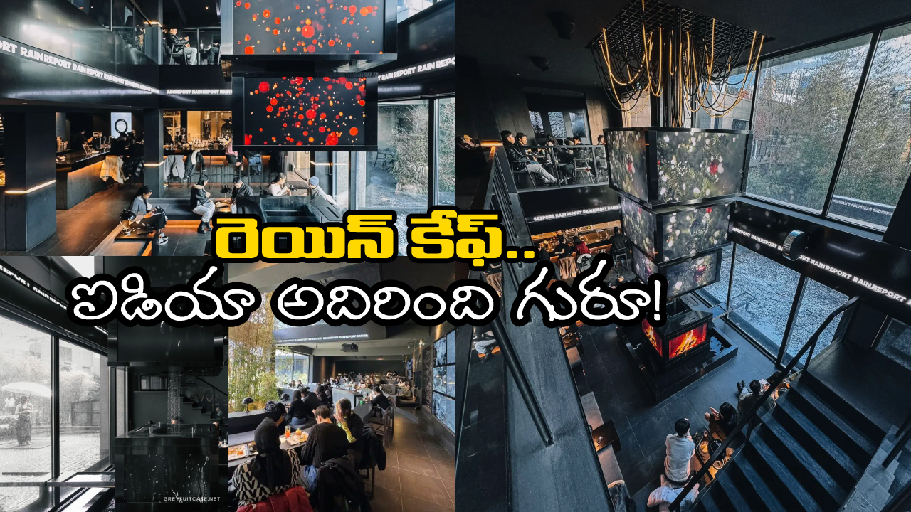 Rain Report Cafe: ఈ కేఫ్ లో 15 నిమిషాలకు ఓసారి వర్షం, కాఫీ తాగాలంటే రెయిన్ కోట్ వేసుకోవాల్సిందే!