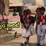 Sankranti Holidays AP: సంక్రాంతి సెలవులు ఎప్పటినుంచో తెలుసా..?