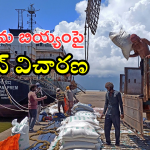 AP DGP Warning : పవన్ కళ్యాణ్ పట్టుబడితే విడువరు.. పీడీఎస్ అక్రమ రవాణా కేసులో ప్రభుత్వం కీలక నిర్ణయం