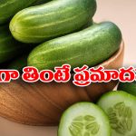 Salmonella Poisoning: దోసకాయ తిని చనిపోయిన బాలుడు.. అసలు ఏం జరిగింది? వైద్యులు ఏం చెప్పారు?