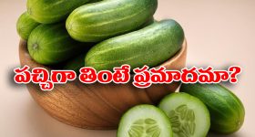 Salmonella Poisoning: దోసకాయ తిని చనిపోయిన బాలుడు.. అసలు ఏం జరిగింది? వైద్యులు ఏం చెప్పారు?