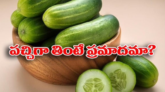 Salmonella Poisoning: దోసకాయ తిని చనిపోయిన బాలుడు.. అసలు ఏం జరిగింది? వైద్యులు ఏం చెప్పారు?