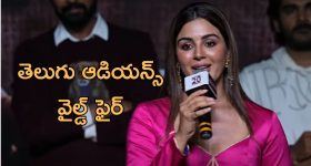 Samyuktha: తెలుగు ఆడియన్స్ వైల్డ్ ఫైర్ అంటూ ఎంత చక్కగా మాట్లాడిందో