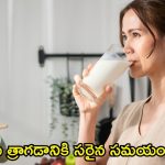 Health Tips: పాలు త్రాగడానికి సరైన సమయం ఏది ?