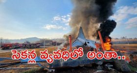 South Korea Plane Crash: ఘోర విమాన ప్రమాదం.. రన్ వేపై ఘటన.. ఆపై