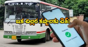 Sri Nallapochamma Temple : ఆలయంలో అద్భుతం.. పసుపులో అమ్మవారి పాదముద్ర ప్రత్యక్ష్యం..