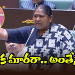 Seethaka Speech: తెలంగాణ తల్లికి నీ చెల్లి రూపం ఇచ్చినప్పుడు ఏమైంది? సీతక్క వైల్డ్ ఫైర్ స్పీచ్