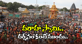 Dos and Don'ts In Tirumala: తిరుమల శ్రీవారిని ఇలా దర్శనం చేసుకుంటున్నారా? అలా చేయకూడదని మీకు తెలుసా?