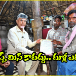AP New Ration Cards: కొత్త రేషన్ కార్డుకు అప్లై చేస్తున్నారా.. ఇలా చేయండి.. లేకుంటే రిజెక్ట్?