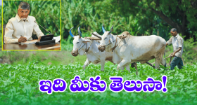 AP Govt: ఏపీ రైతులకు గుడ్ న్యూస్.. సంక్రాంతి కానుక అదిరింది కదూ!