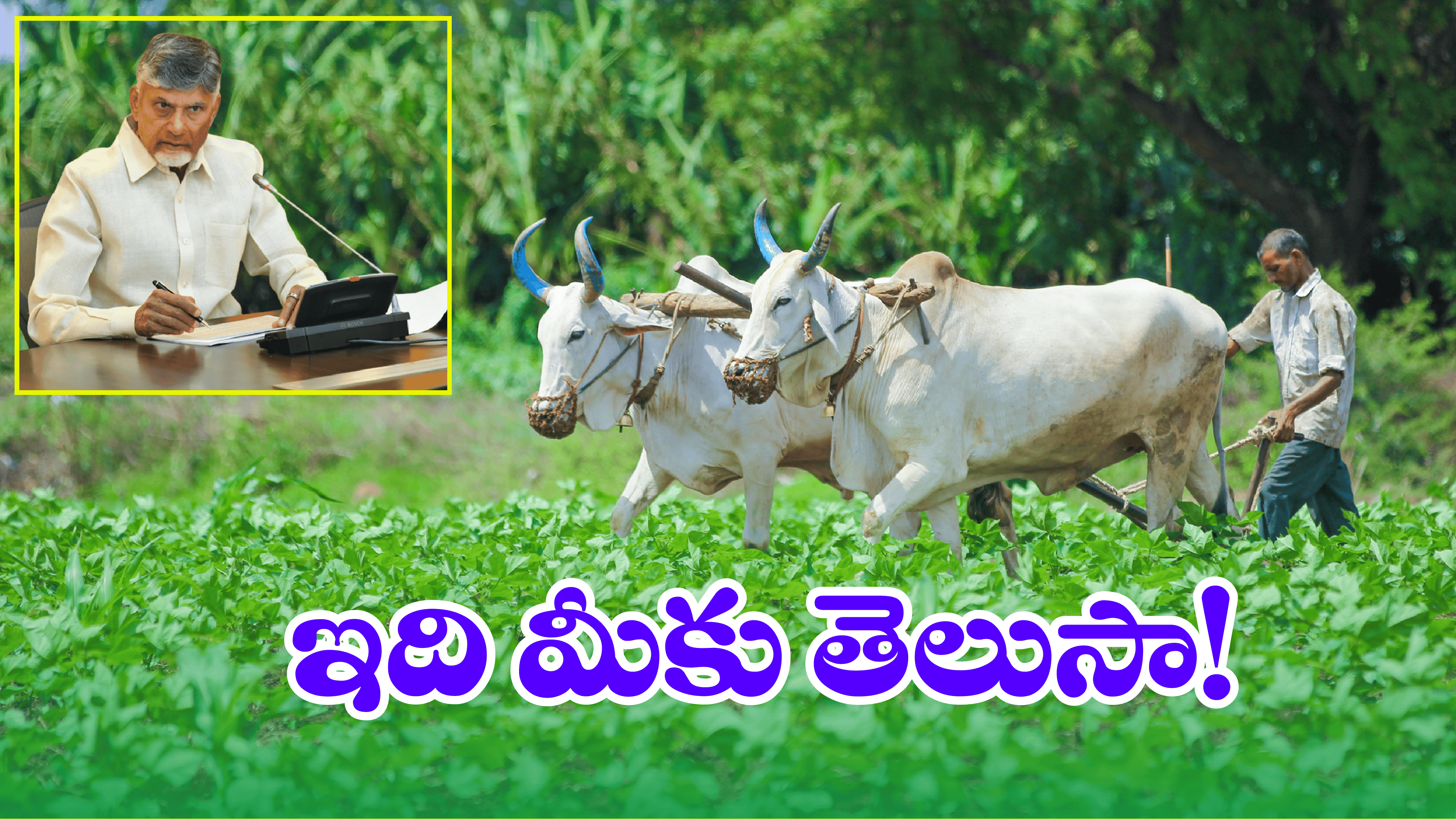 AP Govt: ఏపీ రైతులకు గుడ్ న్యూస్.. సంక్రాంతి కానుక అదిరింది కదూ!