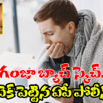 Ganja Seized: తెలివి మీరిన గంజాయి బ్యాచ్.. ఆ విషయం తెలియకుండా పెద్ద ప్లాన్ వేశారు