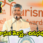 AP Govt: ఏపీ పింఛన్ దారులకు గుడ్ న్యూస్.. ప్రభుత్వం కీలక నిర్ణయం.. న్యూ ఇయర్ గిఫ్ట్ మీకోసమే!