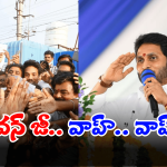 Pawan Kalyan: జగన్ ను వెంటాడుతున్న పవన్.. ఇంత కసి ఏల?