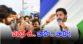Pawan Kalyan: జగన్ ను వెంటాడుతున్న పవన్.. ఇంత కసి ఏల?