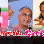 MP Raghunandan: ఎగిరిఎగిరి పడితే మళ్లీ బండకేసి.. కవితను ఆ ఎంపీ అంత మాట అనేశారేంటి?