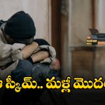 AP Govt: ఏపీలో ఆ కష్టాలకు ఇక చెల్లు.. వేలు అవసరం లేదు.. అంతా ఉచితమే!