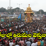 TTD News: తిరుమలలో 10 రోజుల పాటు ఆ దర్శనాలు రద్దు.. టీటీడీ కీలక ప్రకటన