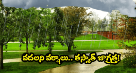 Case on YCP Perni Nani's Wife: రేషన్ గోడౌన్ లో గోల్ మాల్.. మాజీ మంత్రి పేర్ని నాని భార్యపై కేసు నమోదు..