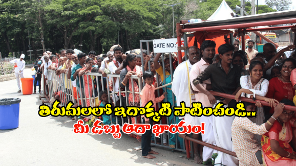 Tirumala News: తిరుమల వెళ్తున్నారా.. తిరుగు ప్రయాణంలో ఇలా చేయాలని మీకు తెలుసా?