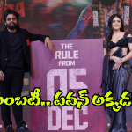 Pushpa 2 In AP: పుష్ప-2 హిట్.. అంబటి ప్లాప్.. అరెరె టార్గెట్ మిస్ అయిందే!