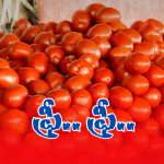 Tomatoes at Rs 50 Paisa: మీ జేబులో రూపాయి ఉందా.. ఓసారి మార్కెట్ కు వెళ్లి రండి!