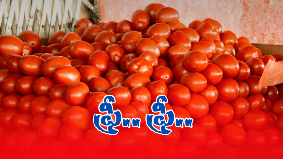 Tomatoes at Rs 50 Paisa: మీ జేబులో రూపాయి ఉందా.. ఓసారి మార్కెట్ కు వెళ్లి రండి!