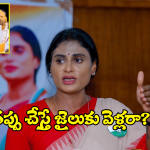 Sharmila on YS Jagan: జగన్ పై షర్మిళ ఫిర్యాదు.. ఆ సంగతి బయటకు చెప్పాలని డిమాండ్