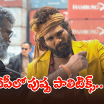 AP Politics – Pushpa 2: ఏపీలో కాక పుట్టించిన పుష్ప? వైసీపీ వర్సెస్ కూటమి వార్? స్క్రీన్ ప్లే ఎవరంటే?