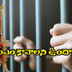 Venu Swamy prediction: జైలుకు వెళ్తే చాలు.. సీఎం అవుతారట.. మీరూ ట్రై చేస్తున్నారా!