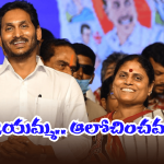 Vasireddy Padma on YS Jagan: జగన్ వద్దు.. ఈ ముక్క అప్పుడే చెప్పొచ్చు కదా? ఓడిపోతే గానీ తెలియలేదా మేడం?