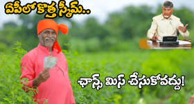 AP New Scheme: అర్హత ఉంటే చాలు.. మీ ఖాతాలో రూ. 20 వేలు.. ఏపీ ప్రభుత్వ కీలక ప్రకటన..