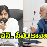 Vijayasai Reddy: పవన్ జాతీయ నేత.. చంద్రబాబు వృద్దుడు.. నేను ఒప్పుకోనంటూ వైసీపీ ఎంపీ ట్వీట్