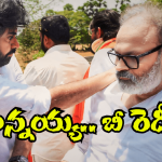 AP Cabinet – Nagababu: నక్క తోక తొక్కిన నాగబాబు.. ఏకంగా ఆ శాఖలేనట.. రోజాకు చుక్కలే!