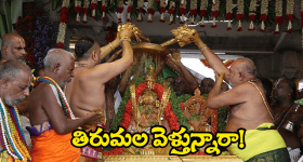 Tirumala Updates: తిరుమల వెళుతున్నారా.. ఈ సమాచారం తెలుసుకోవాల్సిందే!
