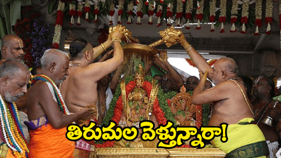 Tirumala Updates: తిరుమల వెళుతున్నారా.. ఈ సమాచారం తెలుసుకోవాల్సిందే!