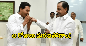 Janasena Youth Leader Suspends: బర్త్ డే వేడుకల్లో బుక్కైన జనసేన నేత, వేటు.. ఆపై కేసు