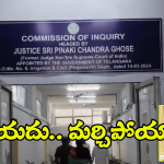 Kaleswaram Commission: కాళేశ్వరం కమిషన్‌ ముందుకు స్మితా సబర్వాల్, సోమేశ్ కుమార్.. ఆ సమాధానంతో షాక్!