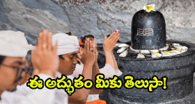 Viral News: తెలంగాణలో అద్భుతం.. తండోపతండాలుగా తరలివచ్చిన భక్తజనం