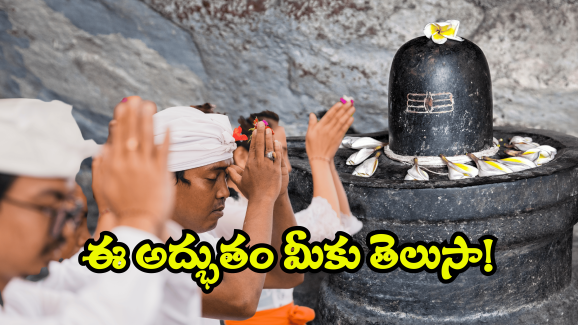 Viral News: తెలంగాణలో అద్భుతం.. తండోపతండాలుగా తరలివచ్చిన భక్తజనం