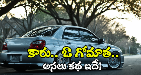 Viral News: కారు వెంటపడ్డ గోమాత.. అస్సలు కదలనివ్వలేదు