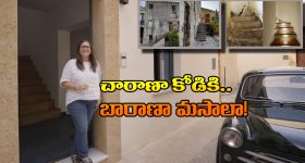 US Woman: కేవలం రూ.85తో ఇల్లు కొనేసింది.. కానీ, దాని రెన్నోవేషన్‌కు ఎంత అయ్యిందో తెలిస్తే.. ఏమైపోతారో!
