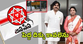 Janasena Vizianagaram: విజయనగరంలో జనసేనకి పెద్ద దిక్కెవరు?